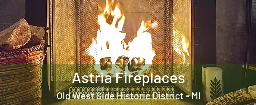 Astria Fireplaces Old West Side Historic District - MI