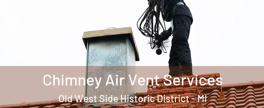 Chimney Air Vent Services Old West Side Historic District - MI