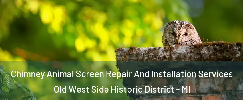 Chimney Animal Screen Repair And Installation Services Old West Side Historic District - MI