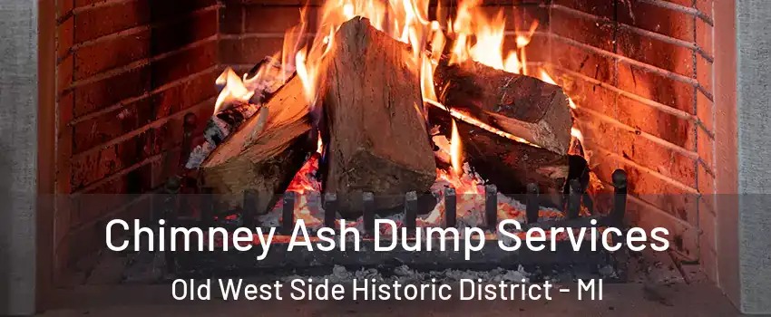 Chimney Ash Dump Services Old West Side Historic District - MI