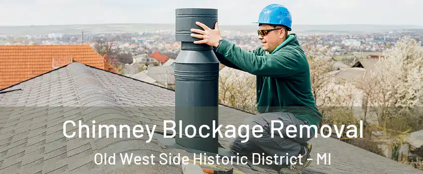 Chimney Blockage Removal Old West Side Historic District - MI