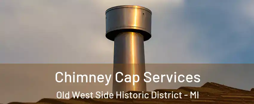 Chimney Cap Services Old West Side Historic District - MI