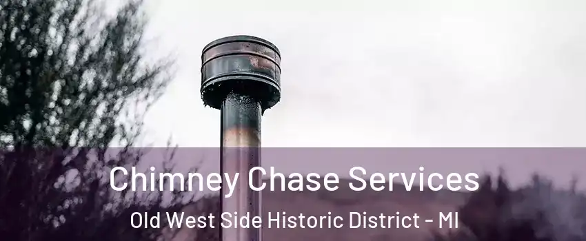 Chimney Chase Services Old West Side Historic District - MI