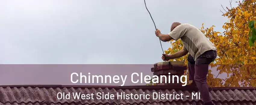 Chimney Cleaning Old West Side Historic District - MI