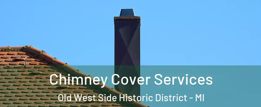 Chimney Cover Services Old West Side Historic District - MI