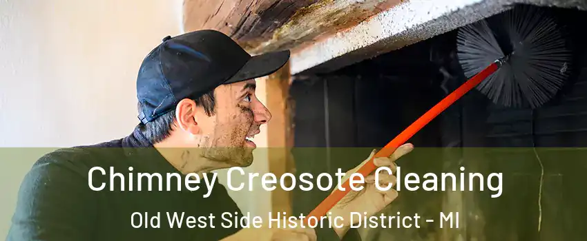 Chimney Creosote Cleaning Old West Side Historic District - MI