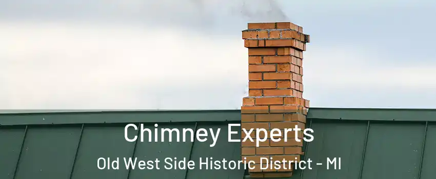 Chimney Experts Old West Side Historic District - MI