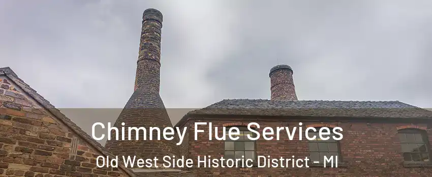 Chimney Flue Services Old West Side Historic District - MI