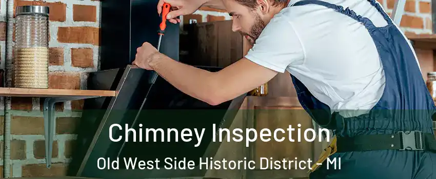 Chimney Inspection Old West Side Historic District - MI