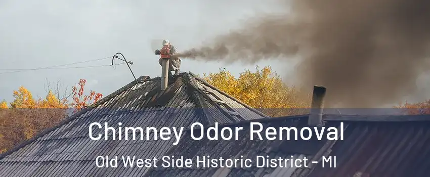 Chimney Odor Removal Old West Side Historic District - MI