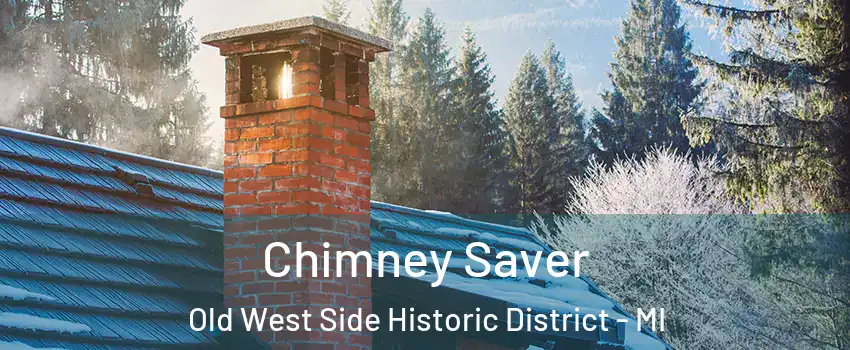 Chimney Saver Old West Side Historic District - MI