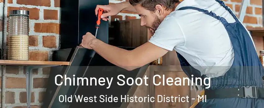 Chimney Soot Cleaning Old West Side Historic District - MI