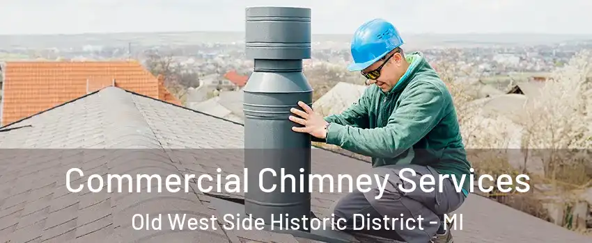 Commercial Chimney Services Old West Side Historic District - MI