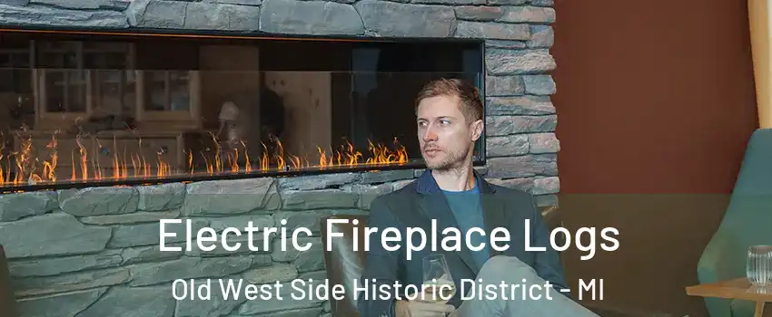 Electric Fireplace Logs Old West Side Historic District - MI