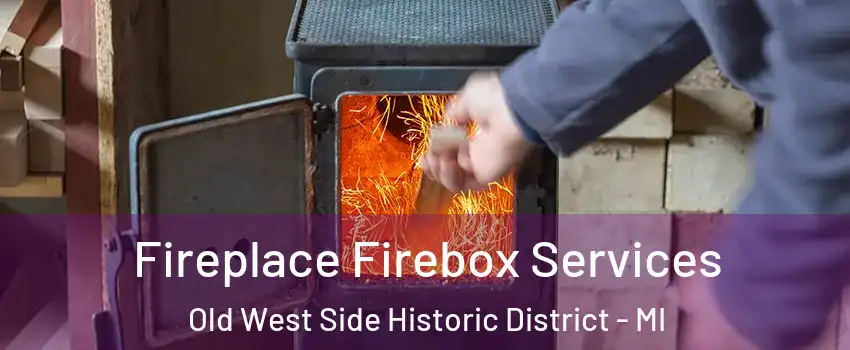 Fireplace Firebox Services Old West Side Historic District - MI