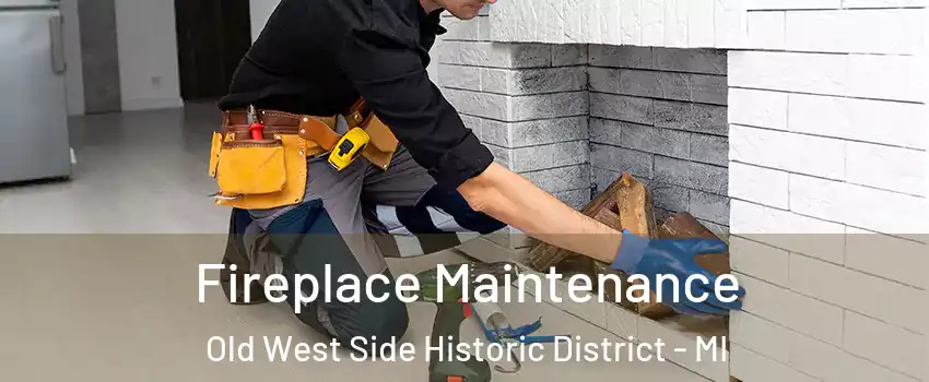 Fireplace Maintenance Old West Side Historic District - MI