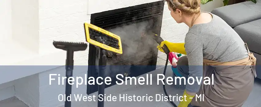 Fireplace Smell Removal Old West Side Historic District - MI