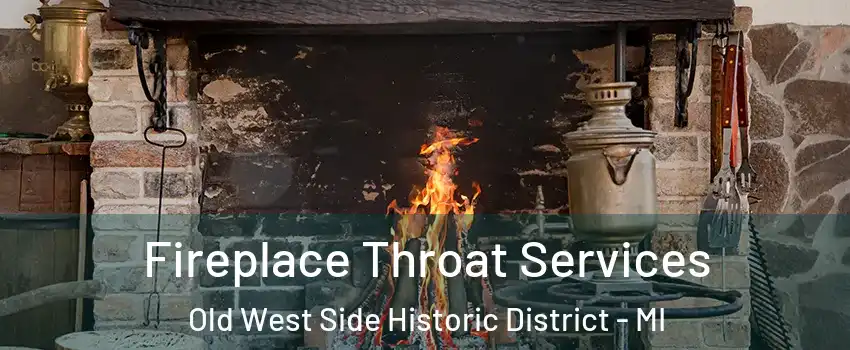 Fireplace Throat Services Old West Side Historic District - MI