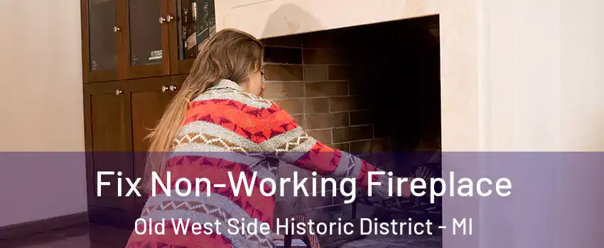 Fix Non-Working Fireplace Old West Side Historic District - MI