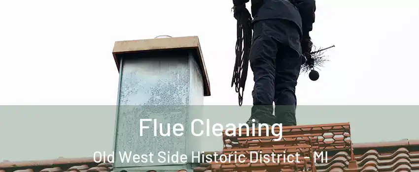 Flue Cleaning Old West Side Historic District - MI