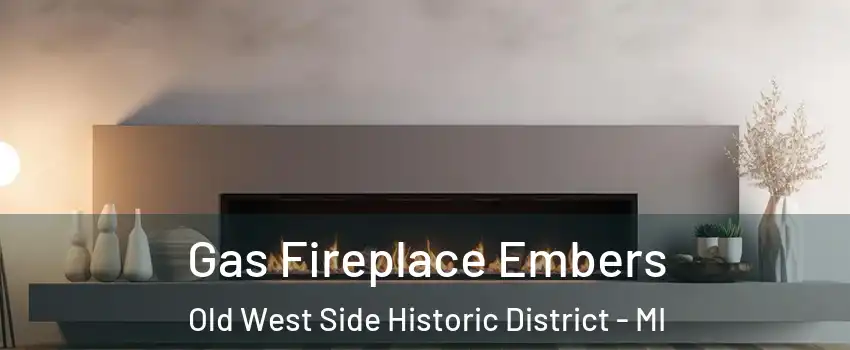 Gas Fireplace Embers Old West Side Historic District - MI