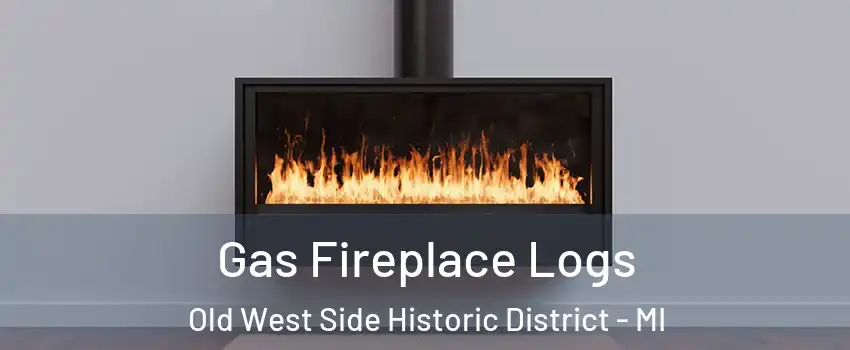 Gas Fireplace Logs Old West Side Historic District - MI