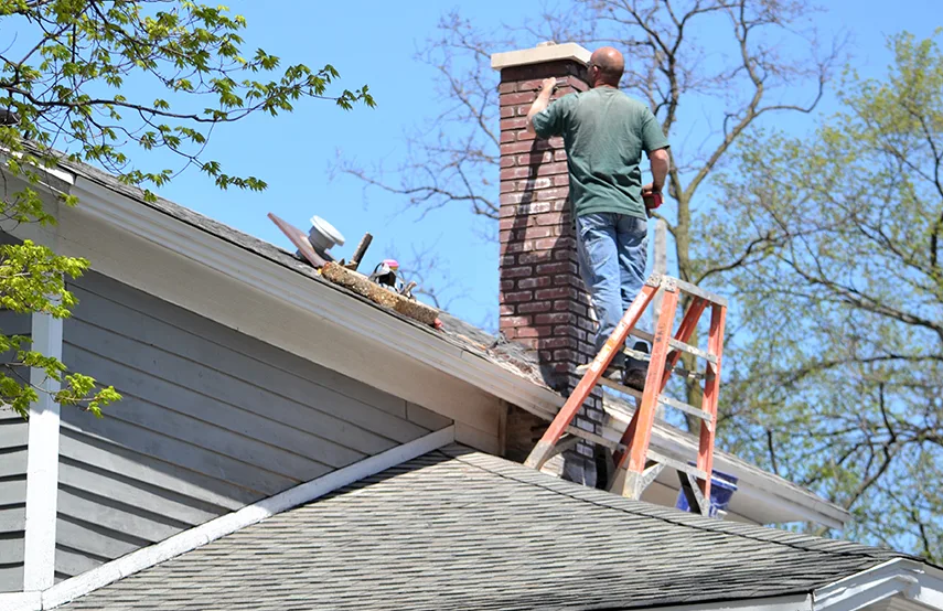 Chimney & Fireplace Inspections Services in Ann Arbor, MI
