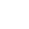 Professional Chimney Flue Installation in Ann Arbor, MichiGeorgian