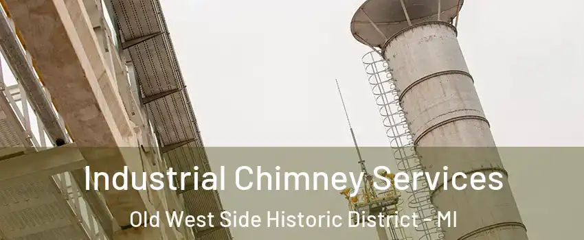 Industrial Chimney Services Old West Side Historic District - MI