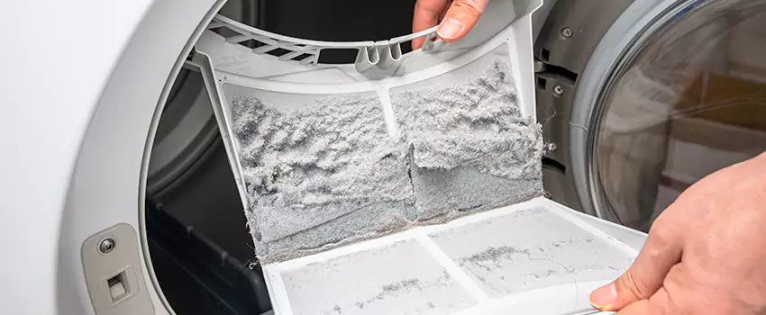 Best Dryer Lint Removal Company in Old West Side Historic District, Michigan