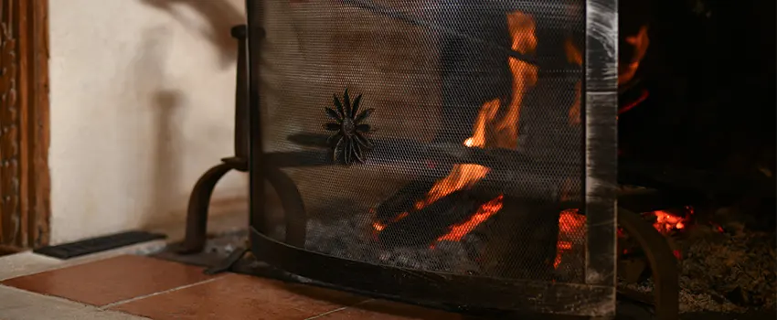 Electric Metal Fireplace installation Services in Old West Side Historic District, MI