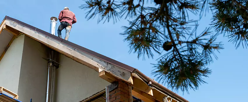 Prefab Chimney Flue Installation in Old West Side Historic District, MI