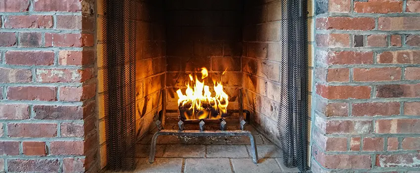 Repairing Damaged Fireplace Tiles in Old West Side Historic District, Michigan