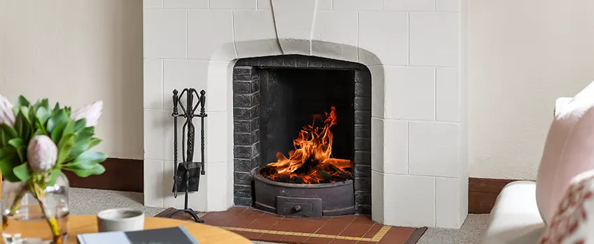 Valor Fireplaces and Stove Repair in Old West Side Historic District, MI
