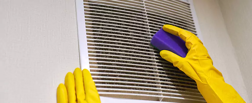 Vent Cleaning Company in Old West Side Historic District, MI