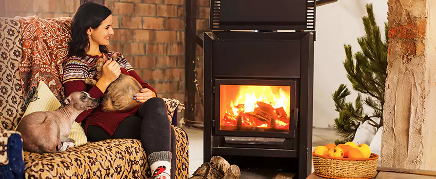 Wood Stove Chimney Cleaning Services in Old West Side Historic District, MI