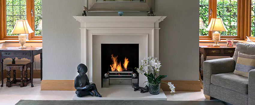 Astria Open-Hearth Wood Fireplaces Services in Old West Side Historic District, MI