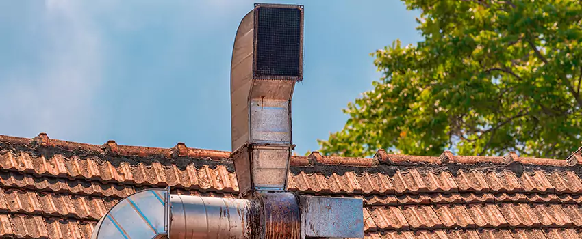 Chimney Blockage Removal in Old West Side Historic District, Michigan