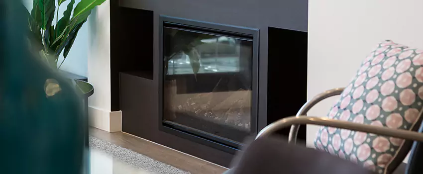 Dimplex Bold Electric Fireplace Fixes in Old West Side Historic District, MI