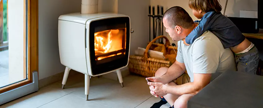 Fireplace Flue Maintenance Services in Old West Side Historic District, MI