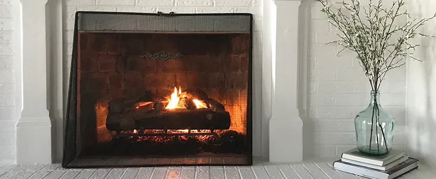 Cost-Effective Fireplace Mantel Inspection And Maintenance in Old West Side Historic District, MI