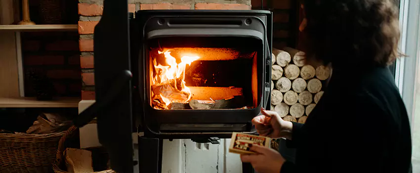 Hearthstone Wood Stoves Fireplace Repair in Old West Side Historic District, Michigan