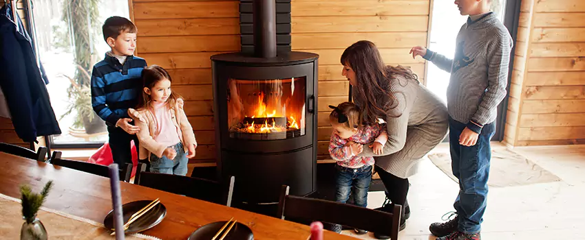 Jøtul Gas Fireplace Inspection Service in Old West Side Historic District, Michigan