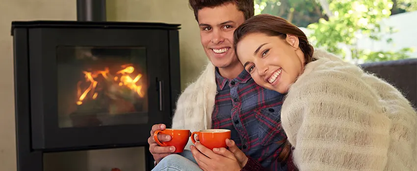Regency Traditional Fireplace Products Maintenance and Repair in Old West Side Historic District, Michigan