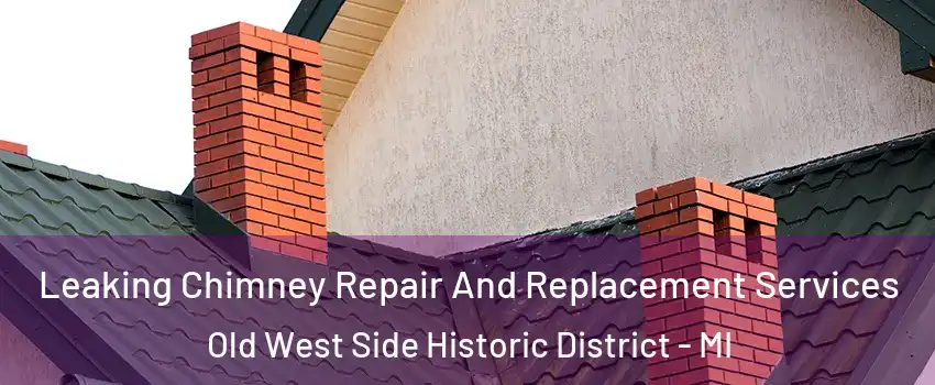 Leaking Chimney Repair And Replacement Services Old West Side Historic District - MI
