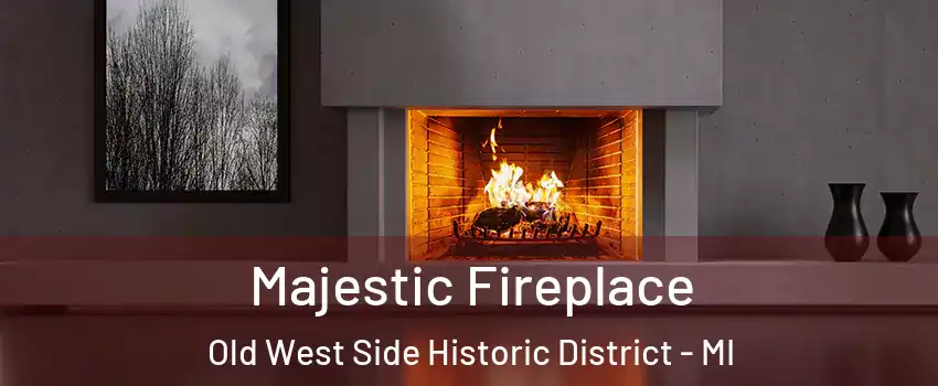 Majestic Fireplace Old West Side Historic District - MI