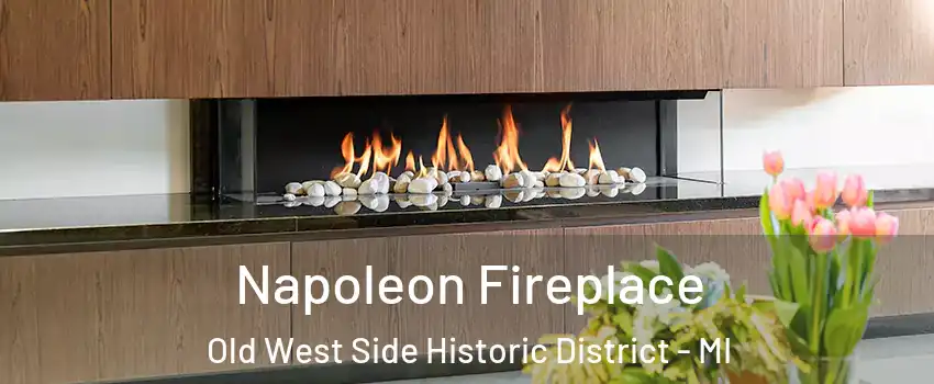 Napoleon Fireplace Old West Side Historic District - MI
