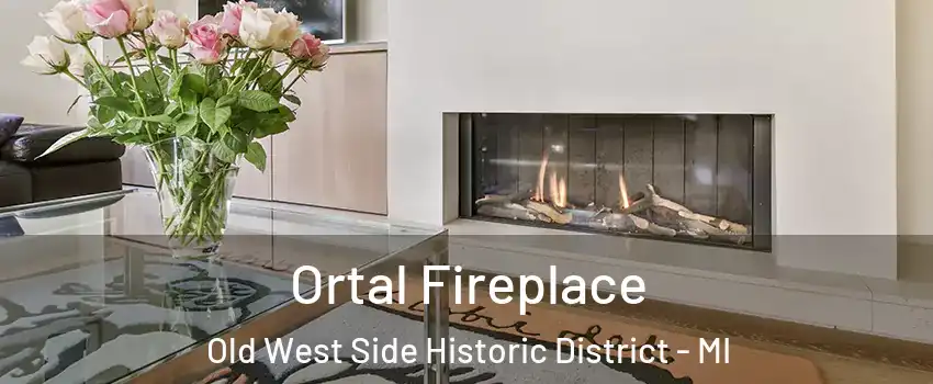 Ortal Fireplace Old West Side Historic District - MI