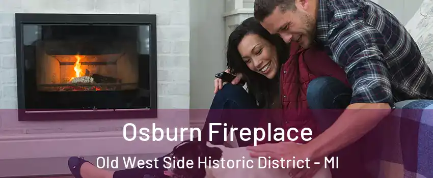Osburn Fireplace Old West Side Historic District - MI