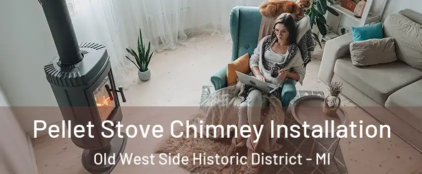 Pellet Stove Chimney Installation Old West Side Historic District - MI